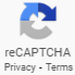reCAPTCHA Logo